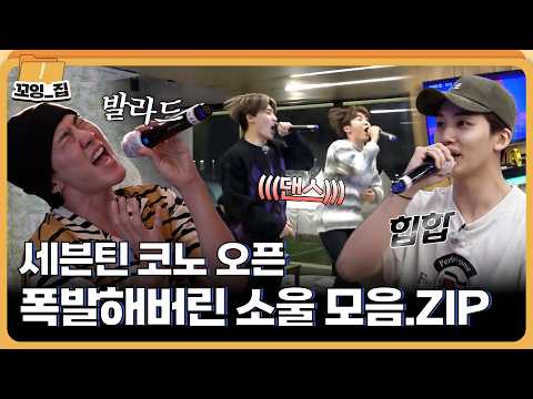 '1시간에 17분 서비스요~' 세븐틴 노래방 모음집 🎤🎵ㅣ#꼬잉집 EP.10 thumbnail