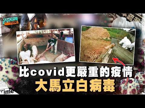 一场病毒让大马全村搬迁？比COVID-19 更可怕的立白病毒是什么？【#课本不会教的历史 EP50】 thumbnail