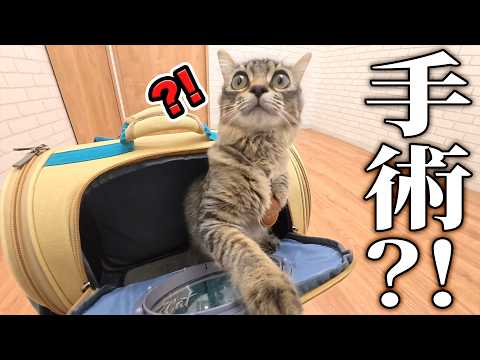 コテン、避妊の日。 thumbnail