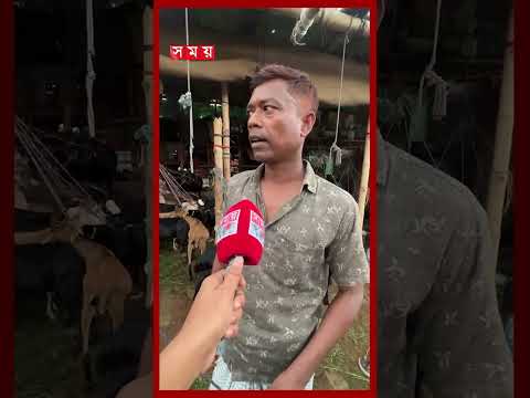 হাটে কম্পিটিশনে বিক্রি হচ্ছে ছাগল; ১০০০ প্রফিট হলেই বিক্রি #qurbani #eiduladha #gorurhaat #somoytv thumbnail