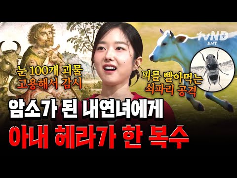 [#벌거벗은세계사] 불륜 현장 들킬까봐 내연녀를 암소로 만든 제우스;; 이를 눈치챈 헤라의 복수 ㄷㄷ😱 thumbnail
