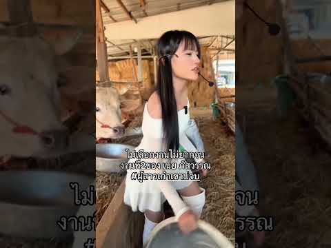 เข้างานจ้า thumbnail