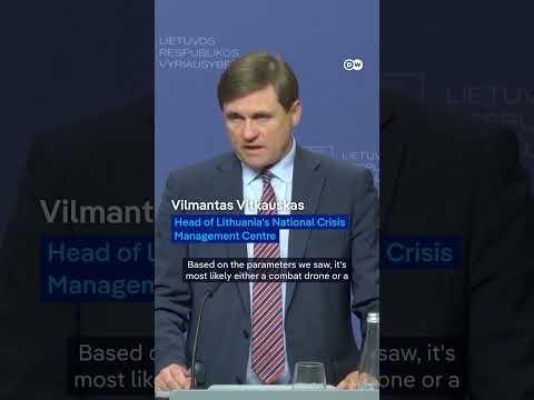 Lithuania: Residents and leaders take shelter during drone alert | DW News thumbnail