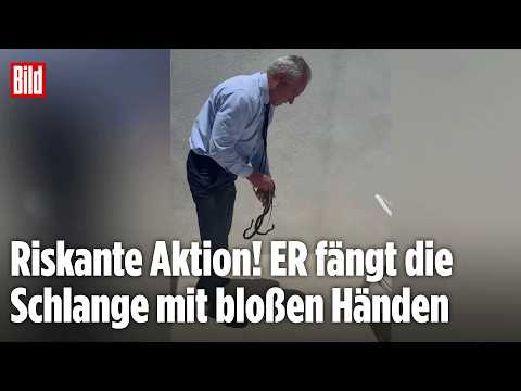USA: Robert F. Kennedy Jr. packt zu! US-Politiker spielt Schlangenfänger thumbnail