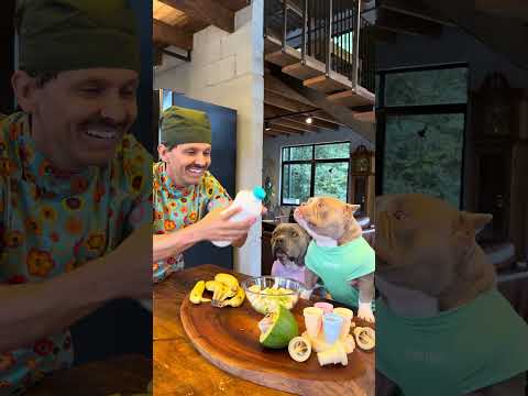 Sorbet de Abacate e Banana 🐾 Suco da Laranja e Iogurte Natural Zero 🤩  para refrescar o seu dia thumbnail
