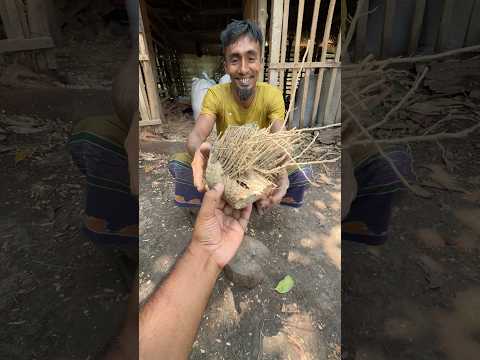 Amazing Bamboo Craft! Turned Waste into a Beautiful Salt Bowl thumbnail