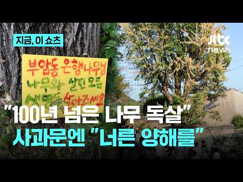 "100년 넘은 은행나무 독살" 제초제 논란에..."너그러운 양해를" 환기미술관 사과｜지금 이 쇼츠 thumbnail