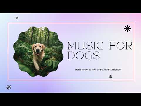 2 HOURS of Dog Relaxing Music 💖🦮 Long Relaxing Music Session for Calm Dogs thumbnail