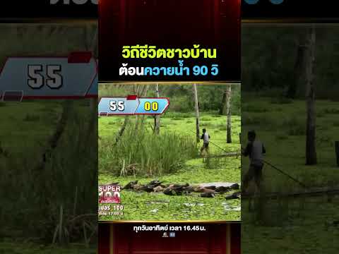 พาชมวิถีชีวิต ต้อนควายน้ำกลับเข้าคอก #พร thumbnail