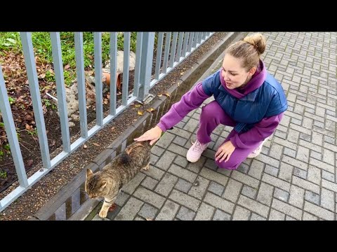 ВЛОГ Как ОТПРАЗДНОВАТЬ День рождения ПОДРОСТКА 13 лет 🎂? Кормим кошек и собак на Набережной Анапы !  thumbnail