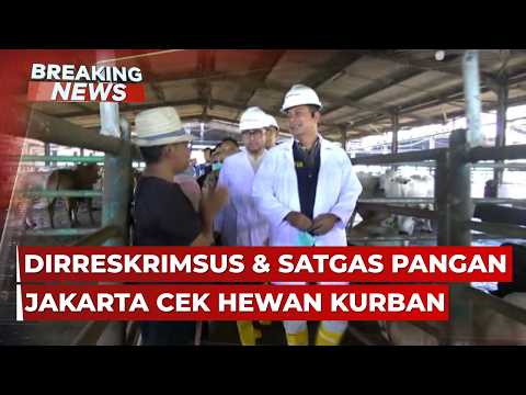BREAKING NEWS - Dirreskrimsus & Satgas Pangan Jakarta Cek Hewan Kurban Jelang Idul Adha 2026 thumbnail
