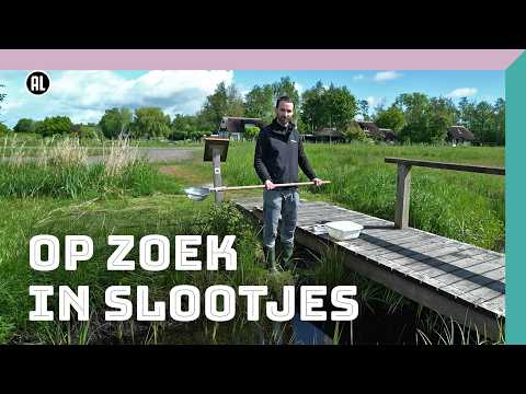 Slootjes onderzoeken | Doe Het Samen thumbnail