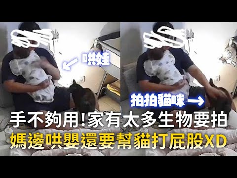 手不夠用！家有太多生物要拍　媽邊哄嬰還要幫貓打屁股XD｜#寵物雲 thumbnail