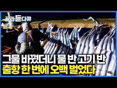 아침엔 쪽박. 그물 하나 바꿨더니, 180도 바뀐 상황. 성인 남자 팔뚝만 한 대삼치 오백만 원어치가 줄줄이 딸려오는 어선｜극한직업｜#골라듄다큐 thumbnail