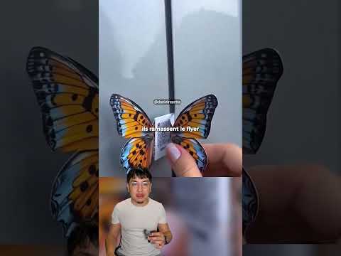 Flyers papillons, marketing intelligent thumbnail
