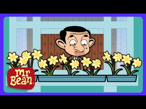Mr. Bean - ¿Un hotel en casa? 🏨✨ | Dibujos Infantiles | WildBrain Niños thumbnail