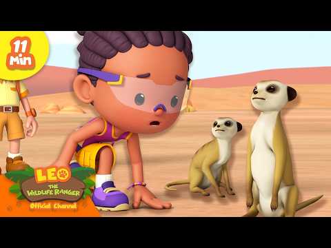 FINDING MEERKATS IN THE WILD! | Leo the Wildlife Ranger | Educational Animal Cartoons thumbnail