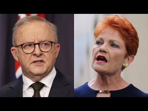 Albanese lashes One Nation surge as ‘grievance politics’ thumbnail