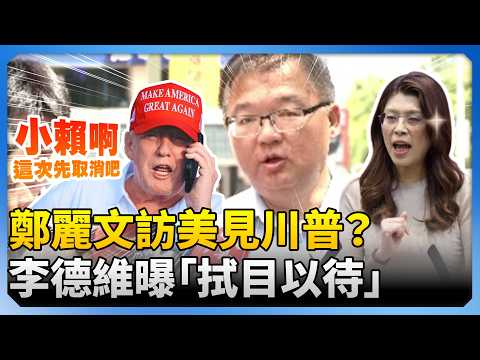 鄭麗文訪美見川普？李德維曝：拭目以待　賴川通話破局「美中新攻防」再起 @ChinaTimes thumbnail