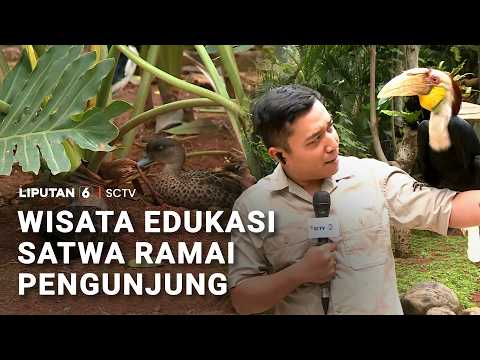 Berwisata Sambil Mengenal Aneka Satwa | Liputan6 thumbnail