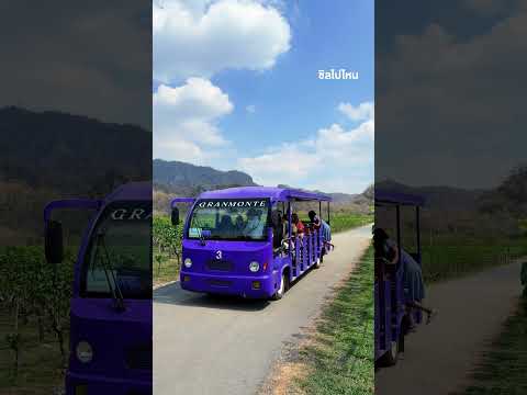 ชวนไปสัมผัสบรรยากาศไร่องุ่นสุดโรแมนติกที่ GranMonte Vineyard and Winery เขาใหญ่ thumbnail