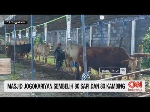 Masjid Jogokariyan Sembelih 80 Sapi Dan 80 Kambing thumbnail