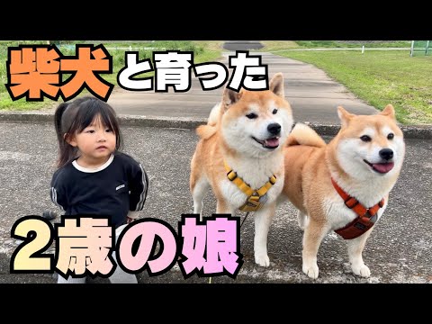 豪快な姉柴＆繊細な兄柴、０歳から一緒に育った娘は…無類の◯◯好き thumbnail