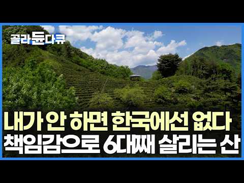 기계 하나 없이 전부 손으로 너무 고된 일이지만 내가 놓으면 전통이 사라진다, 6대째 이어 차밭을 지키는 명인｜한국기행｜#골라듄다큐 thumbnail
