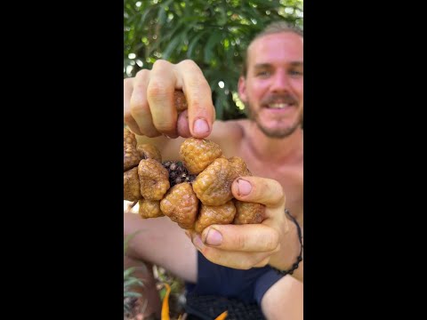 The Most Sour Fruit I've Ever Tried thumbnail