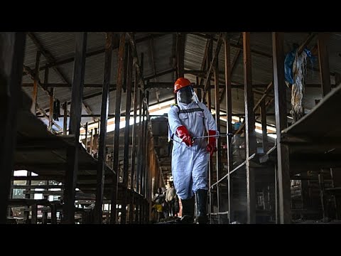 Ebola : L’UE et l’UNICEF envoient 100 tonnes d’aide en RDC thumbnail