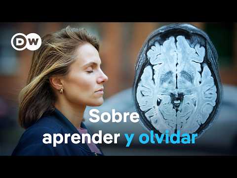Nuestra memoria - Un sistema de almacenamiento fenomenal | DW Documental thumbnail