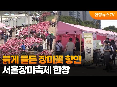 붉게 물든 장미꽃 향연…서울장미축제 한창 / 연합뉴스TV (YonhapnewsTV) thumbnail