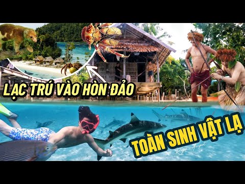VÙNG BIỂN TOÀN TÔM, CUA, CÁ MÀ SAO KHÔNG AI DÁM RỚ?  THIÊN ĐƯỜNG CHÂU Á RAJA AMPAT thumbnail