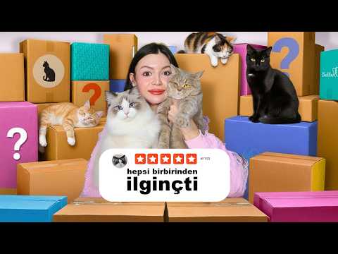 Türkiye’de OLMAYAN Kedi Ürünlerini 4 Kedime Denettim… Sonuç ŞOK! thumbnail