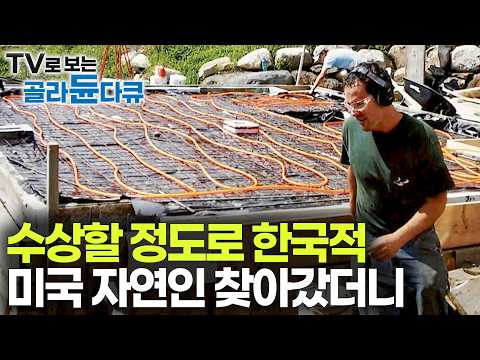 "한국 농기구에 온돌집까지" 수상할 정도로 한국적인 미국 자연인 부부가 17년째 잘 먹고 잘 사는 법｜돈이 없어 미국 오지에 집 짓고 자급자족했더니｜숲이 그린 집｜#골라듄다큐 thumbnail