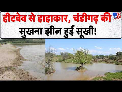 Heat Wave : हीटवेव से हाहाकार, चंडीगढ़ की सुखना झील हुई सूखी! | Chandigarh thumbnail