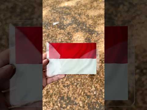 Kalian pilih bendera apa guys? thumbnail