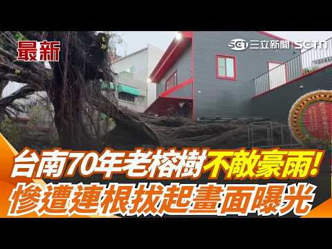 台南首邑縣城隍廟聖誕 廟前老榕樹疑不敵豪雨倒塌｜三立新聞網 SETN.com thumbnail