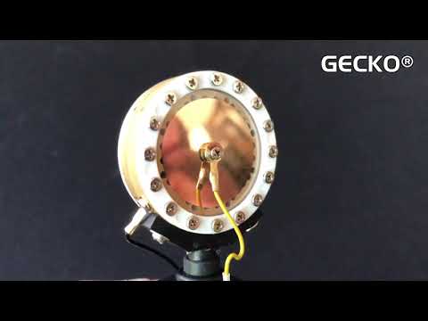 24K Gold-Deposited Diaphragm of GECKO® SATELLITE SRM 2020 thumbnail