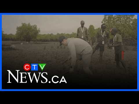 Vancouver man sets tree-planting world record thumbnail