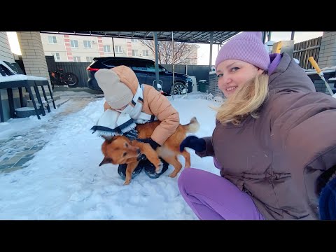 ВЛОГ Едем покупать Алисе новую куртку в СПОРТМАСТЕР ! Пришлось купить ЛОПАТУ чтобы почистить двор !  thumbnail