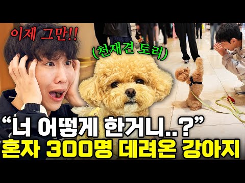 아니.. 이게... 지금.... 무슨 일이야?????  thumbnail