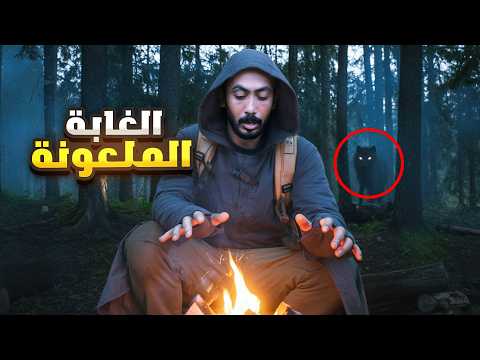 قصة الغابة الملعونة🌲😨 thumbnail