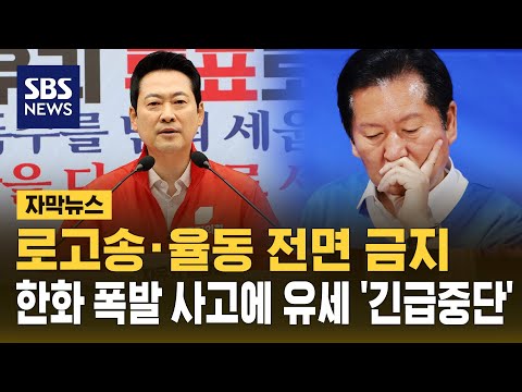 로고송·율동 금지..대전 사고에 여야 유세 '긴급 중단' (자막뉴스) / SBS thumbnail