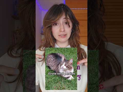 Mi gato se perdió 😞 thumbnail