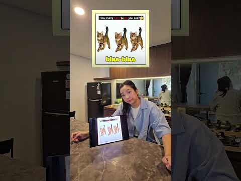 HITUNG KUCING DI GAMBAR INI! thumbnail