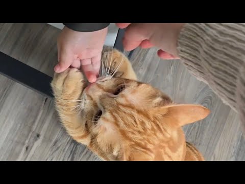 Die kleinen Fingerchen wurden mit Würstchen verwechselt  thumbnail