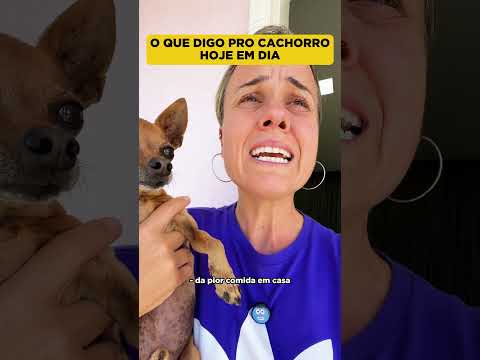 O QUE MINHA VÓ DIZIA PRO CACHORRO ANTIGAMENTE X O QUE EU DIGO HOJE EM DIA thumbnail