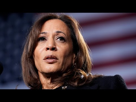 Dems' autopsy hints party establishment ‘haven’t given up’ on Kamala Harris thumbnail