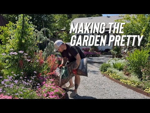 Planting Verbena, Finishing the Blue & White Bed and Mulching Before the Heat! thumbnail